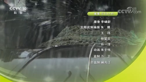 我爱发明 《我爱发明》 20190905 灶台新主张