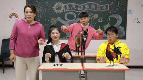 美女家务事 同学们养的宠物太奇葩，小晴竟然拿出屎壳郎，连老师都甘拜下风