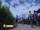生财有道 《生财有道》 20171024 咱们家乡有特产（秋收系列）——蓝莓丰收季 百姓财路多