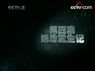 军事纪实 绝地重生记