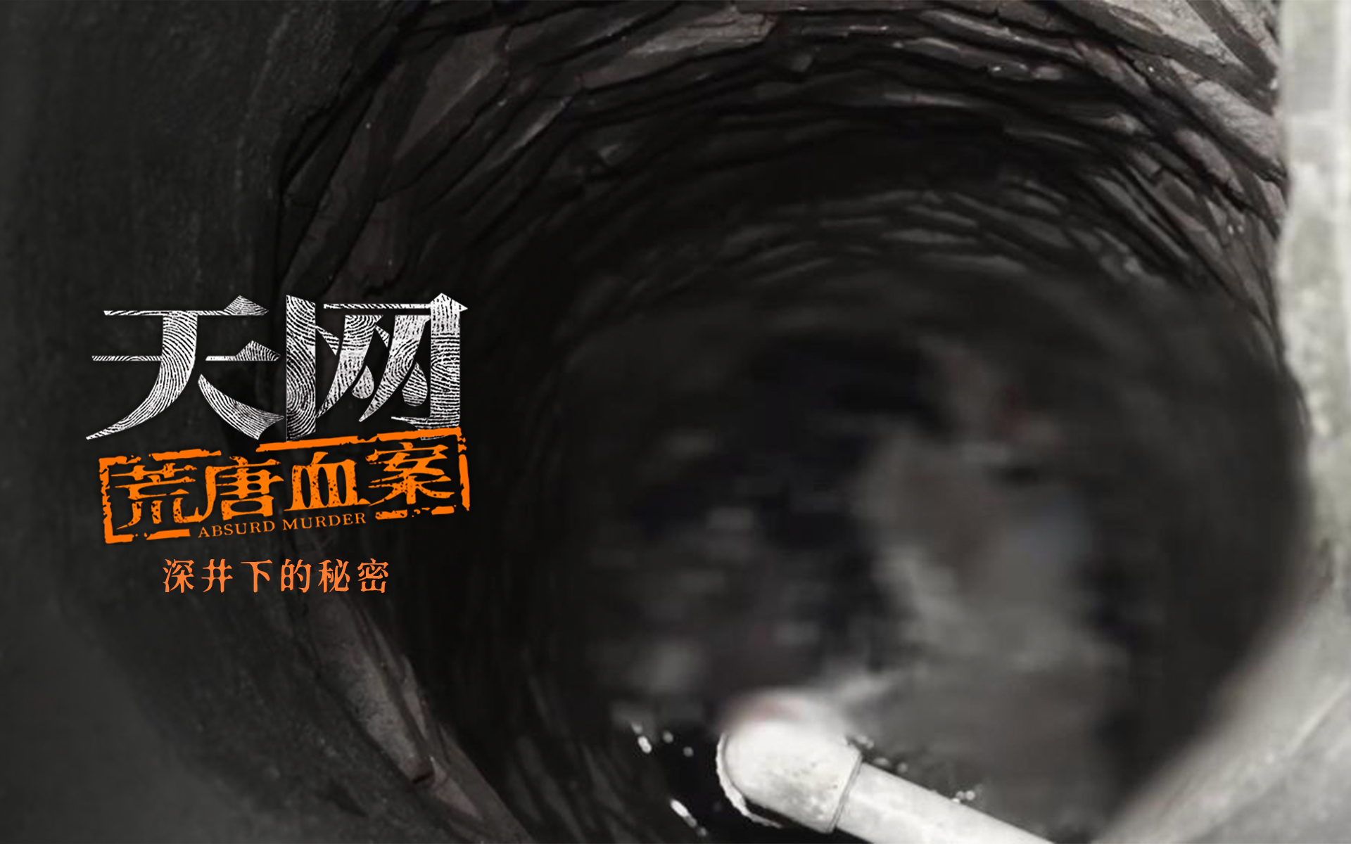 天网:荒唐血案 深井下的秘密