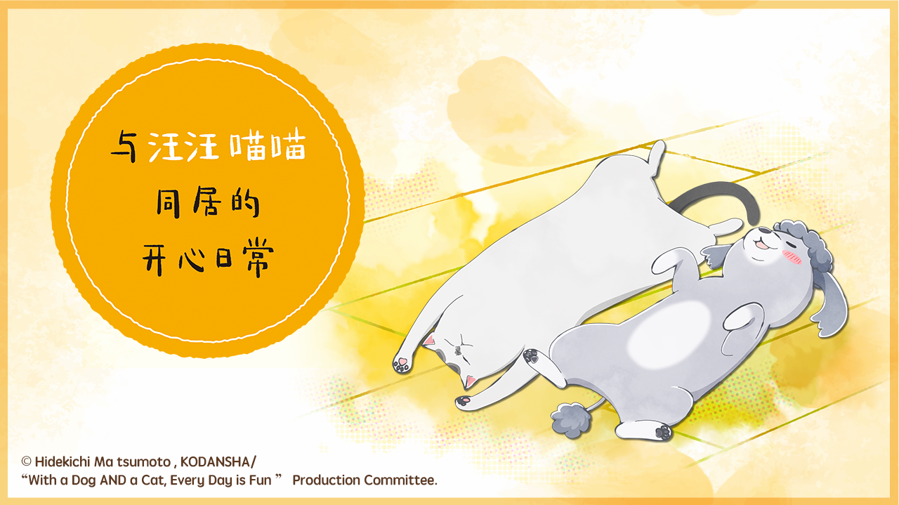 与汪汪喵喵同居的开心日常