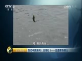 生财有道 《生财有道》 20160824 生态中国系列（沿海行）——走进青岛崂山