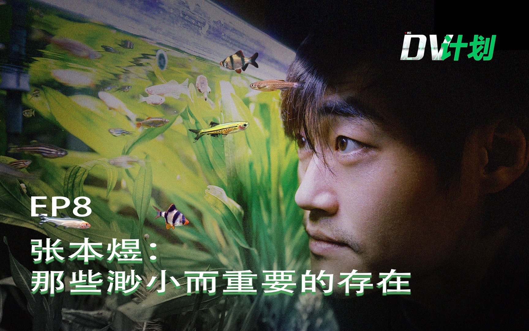 DV计划 那些渺小而重要的存在
