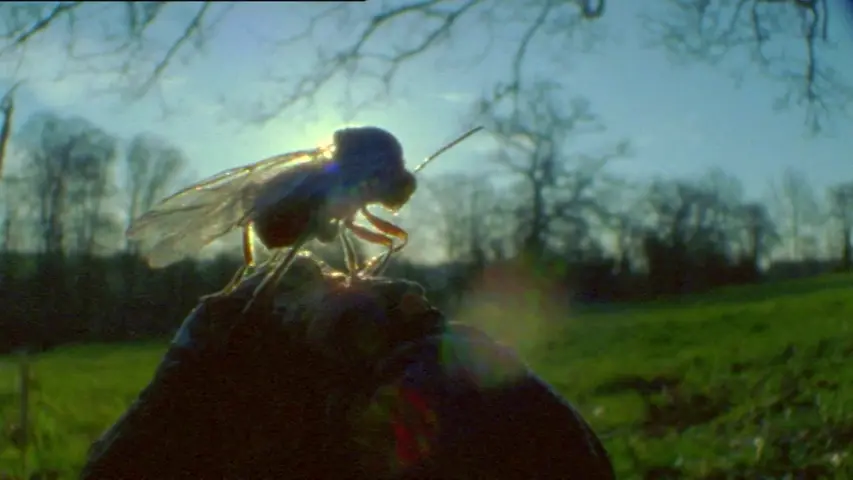 《林下生命》第4集