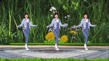 新潮DJ广场舞《小菊花》32步动感带劲