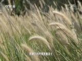 地理中国 《地理中国》 20180827 孤岛传奇（上）