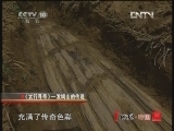 地理中国 《地理中国》 20121113 系列节目《太行寻奇》—发鸠山的传说