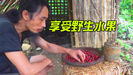 原始丛林人苏门答腊 第二季 夏季森林布满成熟的野果，大自然的馈赠，幸福家园