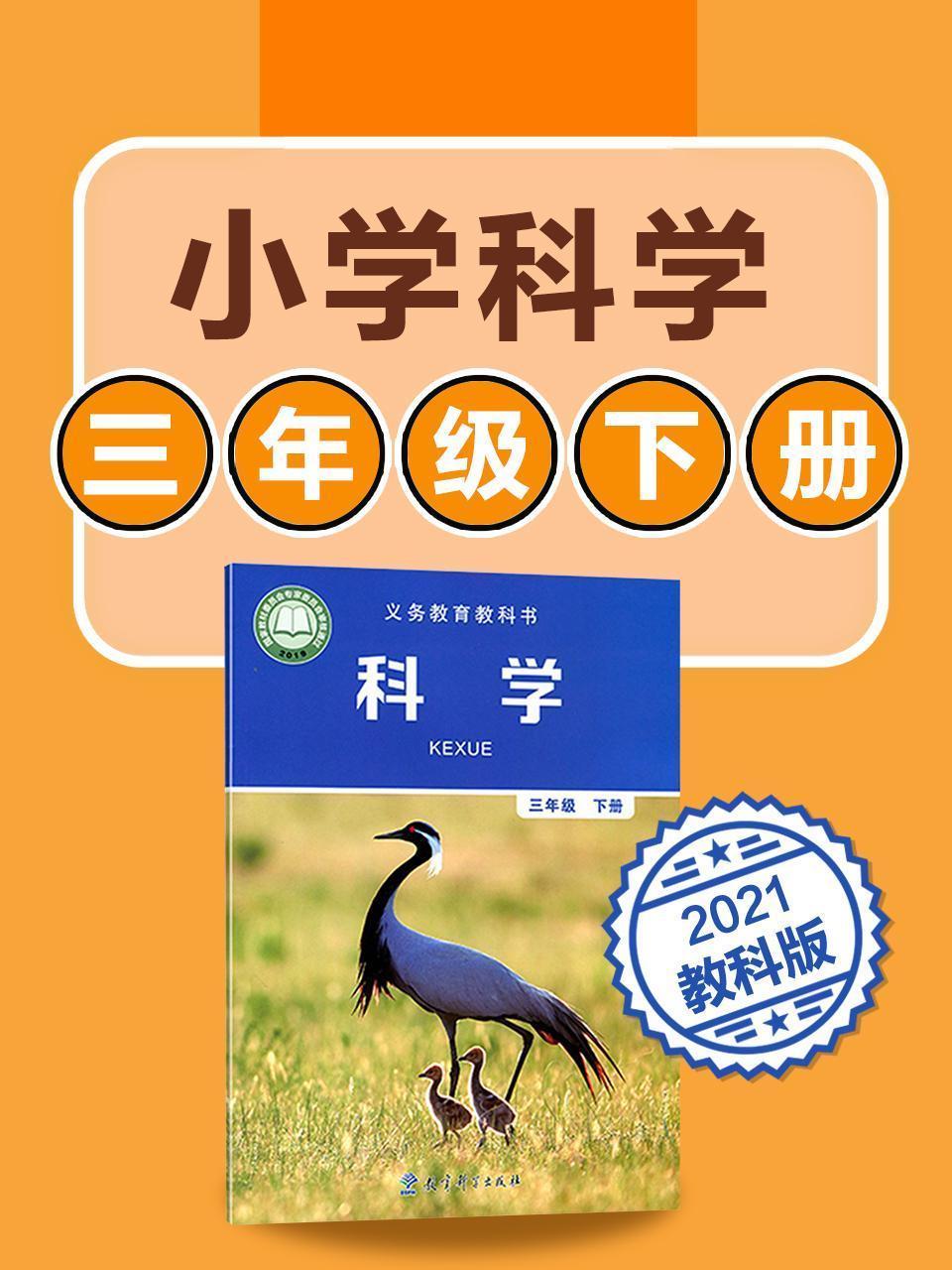 小学科学 三年级下册科学教科版2021