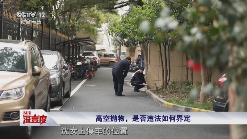 《法治深壹度》 20260103 新法施行：高空抛物处罚与“遛狗拴绳”规定更加细化