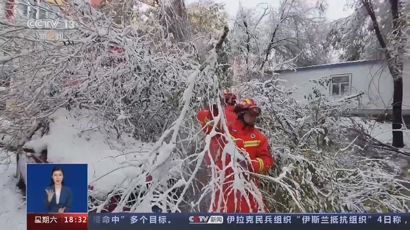 共同关注 《共同关注》 20231104