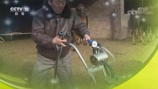 我爱发明 《我爱发明》 20190221 快烤新体验