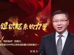 这就是中国 中国组织起来的力量