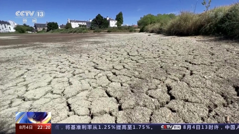 国际时讯 《国际时讯》 20220804