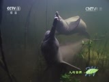 人与自然 《人与自然》 20140925 我们的地球-不尽长河（下）