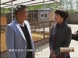 生财有道 《生财有道》 20130806 张超的怪系藏獒