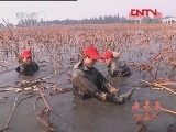 县域经济报道 《县域经济报道》 20111215