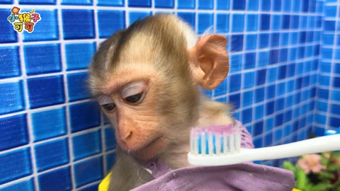 刷牙是个好习惯