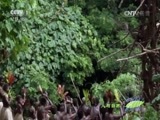 人与自然 《人与自然》 20161111 南太平洋——海岛神话