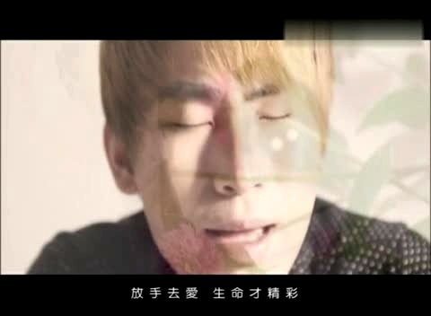 翻唱集锦 I Can't Cry-模仿翻唱 林俊辉