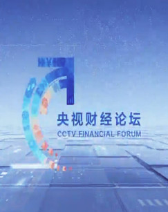 2020央视财经论坛 海报