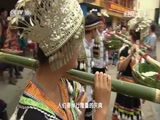 走近科学 《走近科学》 20160718 稻田里的金点子
