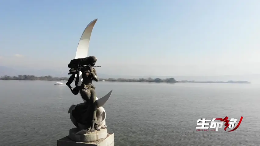 生命缘第十季 第1集