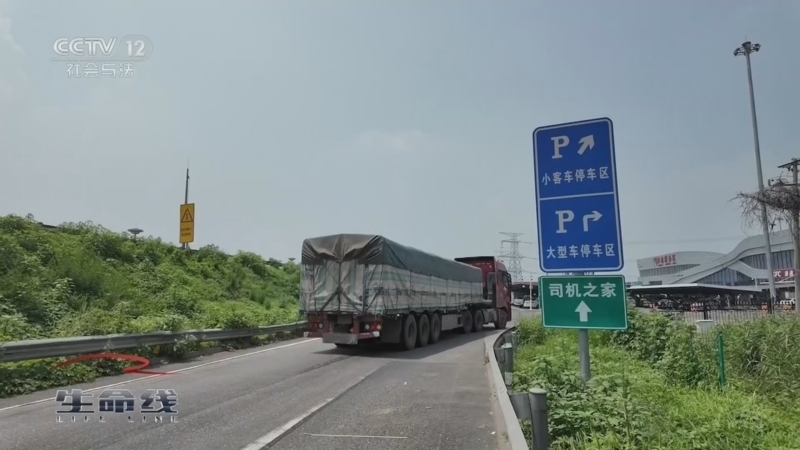 生命线 《生命线》 20260225