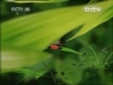智慧树 《智慧树（周末版）》 20120727