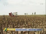 生财有道 《生财有道》 20170925 咱们家乡有特产（秋收系列）——内蒙古五原：致富一方的向日葵
