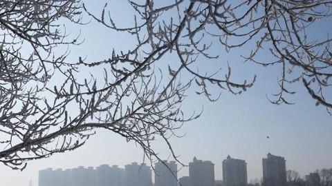 630新闻20210131