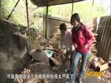 远方的家 《远方的家》 20160823 特别节目：一城一韵味