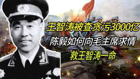 红墙往事 王智涛被查贪污3千亿，毛主席下令抓人，为何陈毅说我和他谈谈