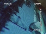 动物世界 《动物世界》 20130105