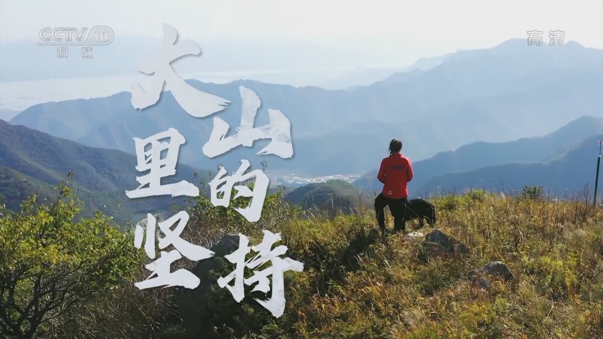 《一起上冰雪》 20211208 杨晶：大山里的坚持