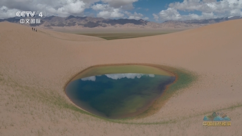 《远方的家》 20251124 中国自然秘境 阿尔金山的生命欢歌