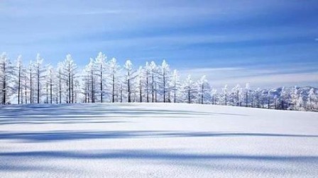 第一时间 东北西北雪纷纷 并伴有大风降温
