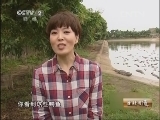 生财有道 《生财有道》 20130516 险中求财养鳄鱼