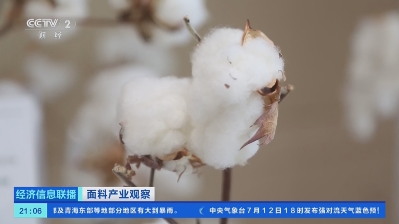 经济信息联播 《经济信息联播》 20260712