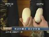 生财有道 《生财有道》 20130327 移动的藕池 固定的财富
