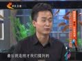 家政女皇 《家政女皇》20141209：炖肉蒸肉放芋头好处多 大芋头名气大小芋头更浓缩
