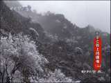动物世界 动物世界 2010年 第71期