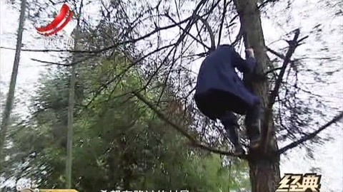经典传奇 爱捉弄人的老神仙