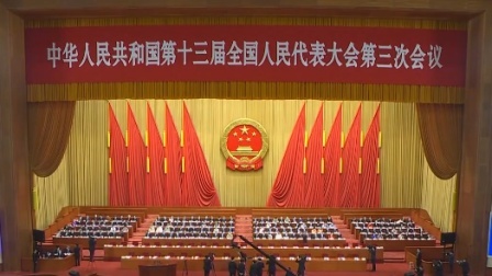 2020全国两会 十三届全国人大三次会议开幕会