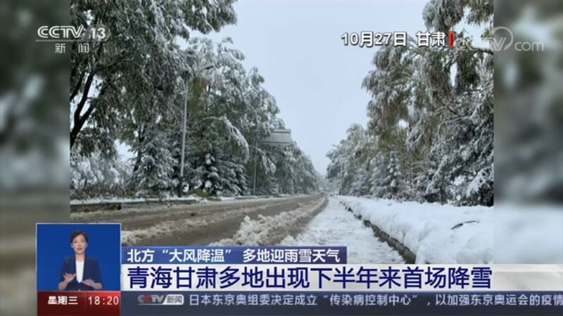 共同关注 《共同关注》 20201028