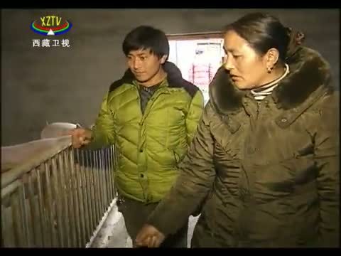 西藏新闻联播 《西藏新闻联播》 20141106