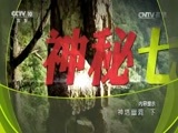 地理中国 《地理中国》 20170219 神塔幽洞（下）