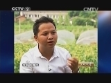 生财有道 《生财有道》 20140828 大学生蔬菜合伙人