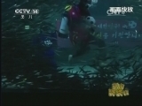 新闻袋袋裤 《新闻袋袋裤》 20140612